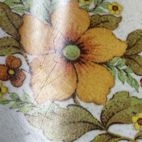 Set 4 Vtg Brookpark Melamine Melmac Plates Pleasant Valley Floral Grannycore - Picture 5 of 8